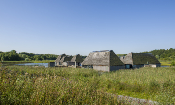 Brockholes Nature Reserve volunteering activity (10).jpg