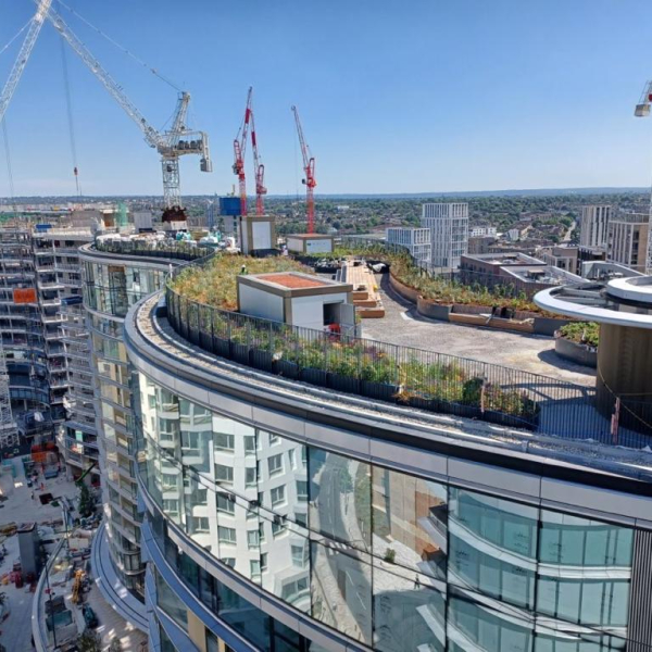 Prospect Place, Battersea